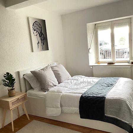 Appartement La Petite Venise Colmar Esterno foto