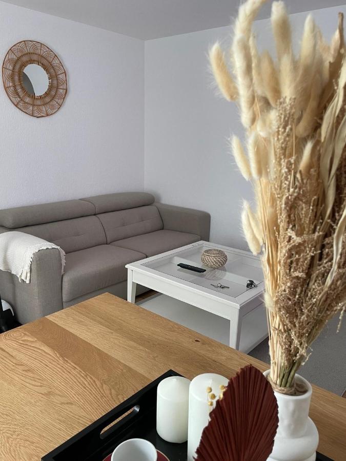 Appartement La Petite Venise Colmar Esterno foto