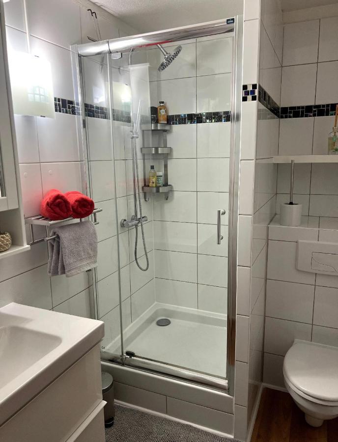 Appartement La Petite Venise Colmar Esterno foto