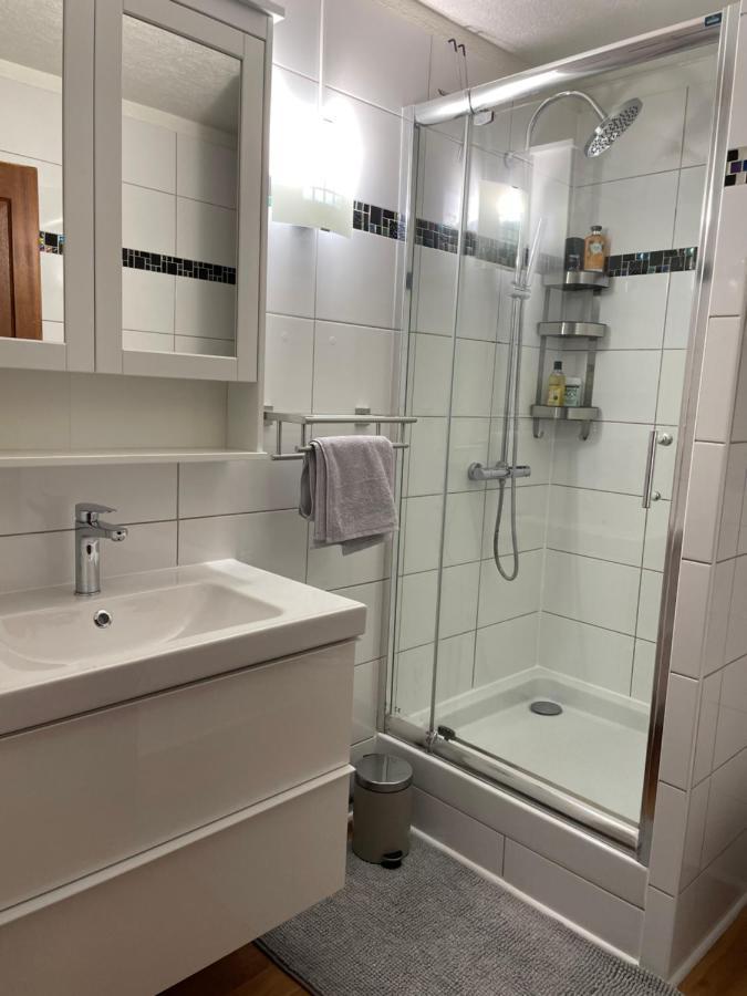 Appartement La Petite Venise Colmar Esterno foto
